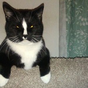 Meet your Posher, Melissa